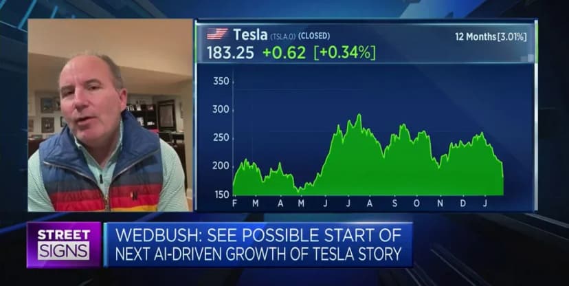 Wedbush Analyst proposes 10 points to rescue TSLA after its 23% decline YTD