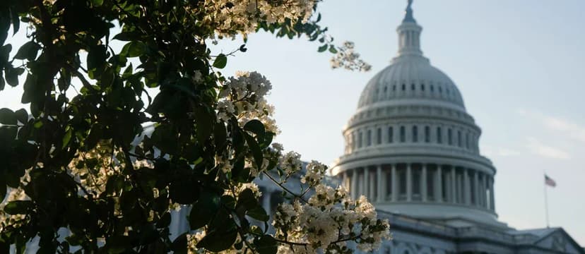 As Members of Congress Buy Stocks, Social Media Accounts Are Tracking Their Trades