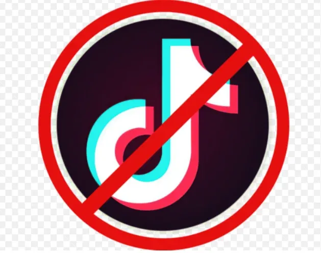 US Senator Josh Hawley plans to introduce bill to ban TikTok nationwide.