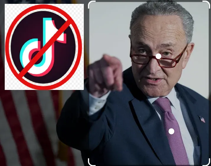 Senator Schumer: "A US ban on TikTok is worth looking at"